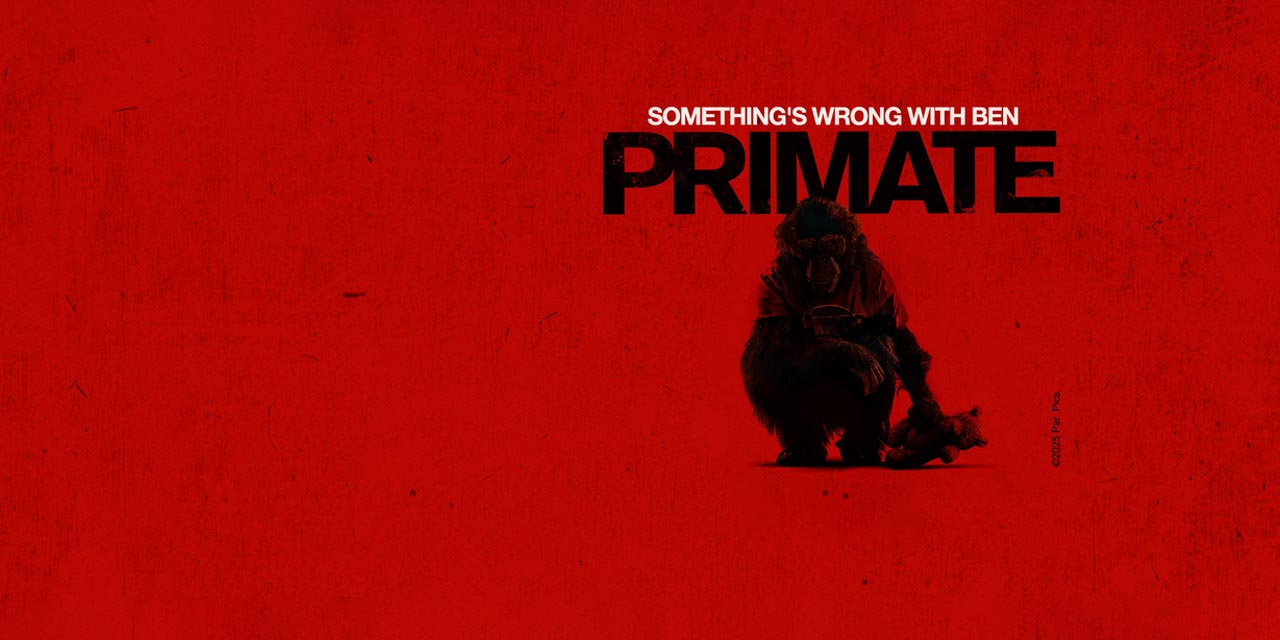 Primate